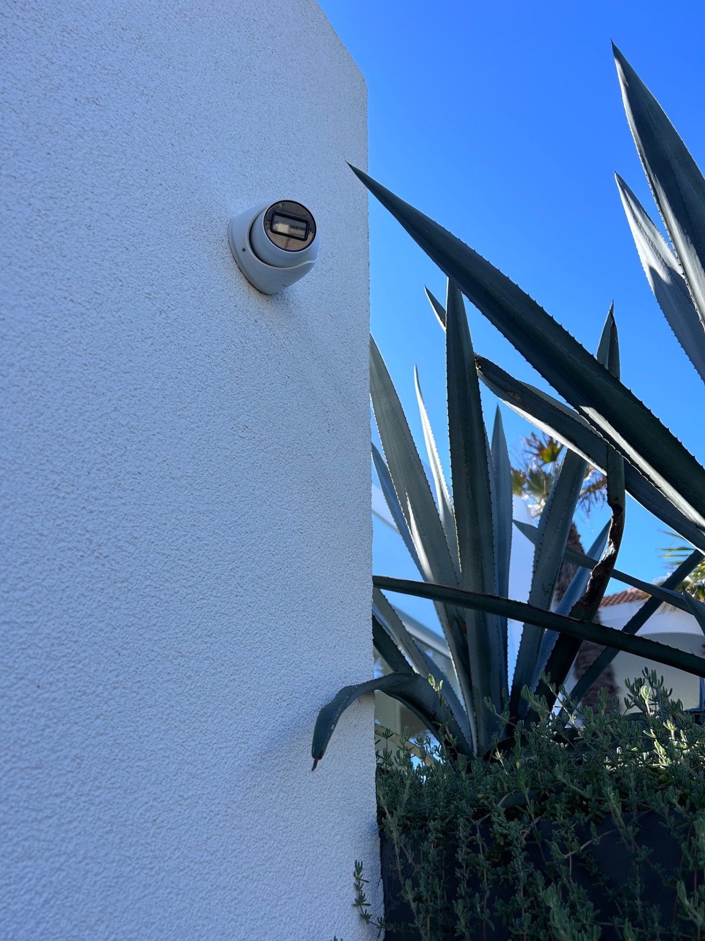 Discreet white dome camera mounted on a rendered wall against coastal planting