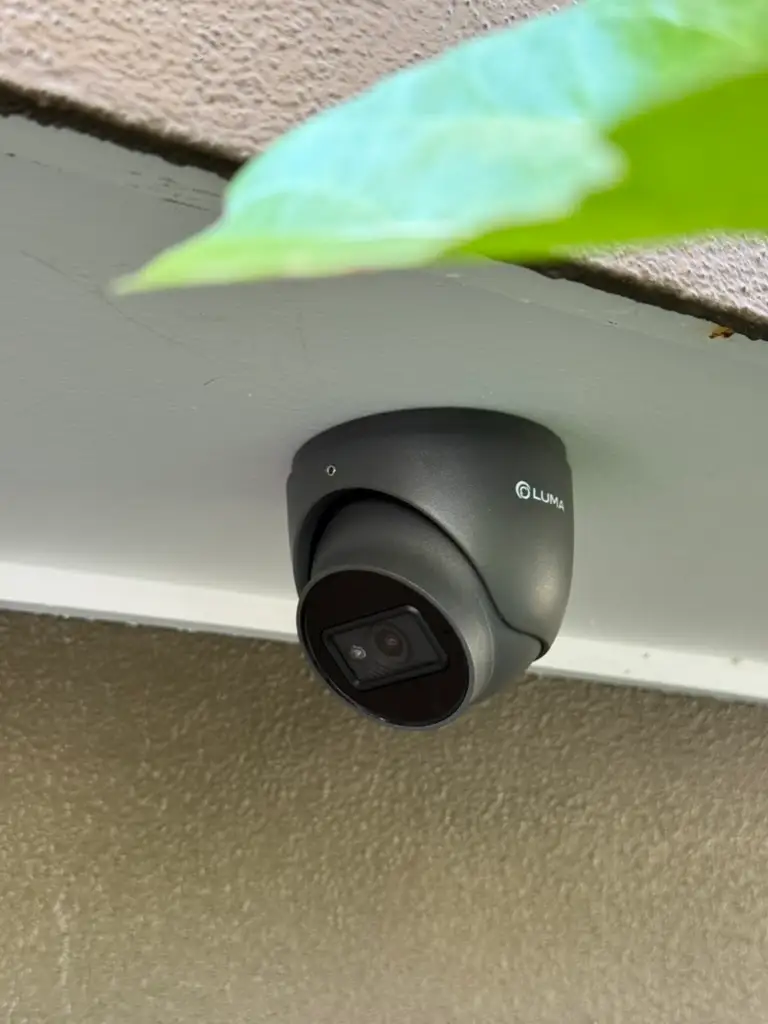 Dome security camera beneath an exterior overhang beside planting